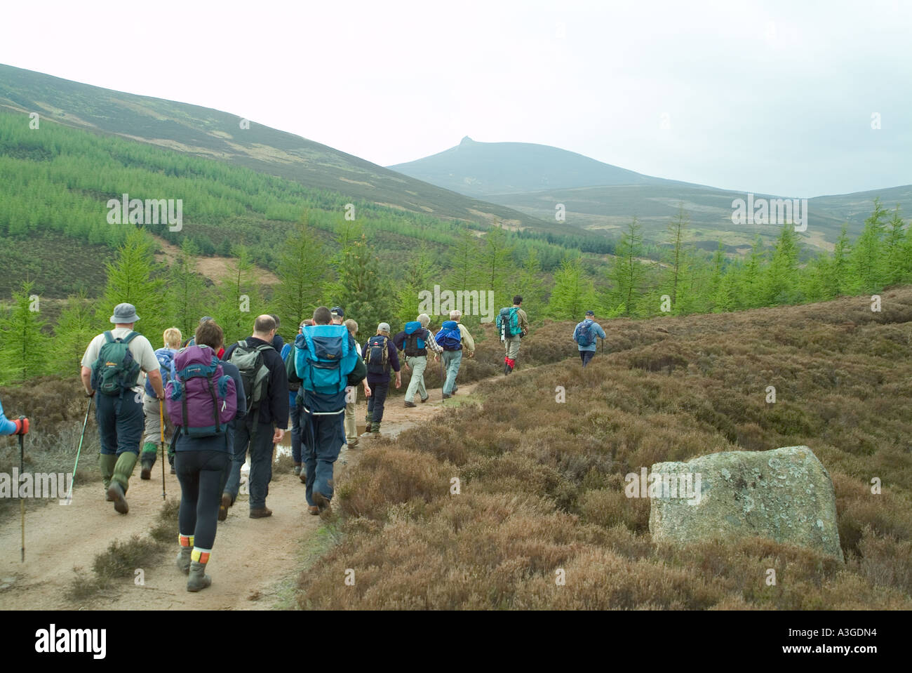 Hillwalkers on Clachnaben Scotland Stock Photo