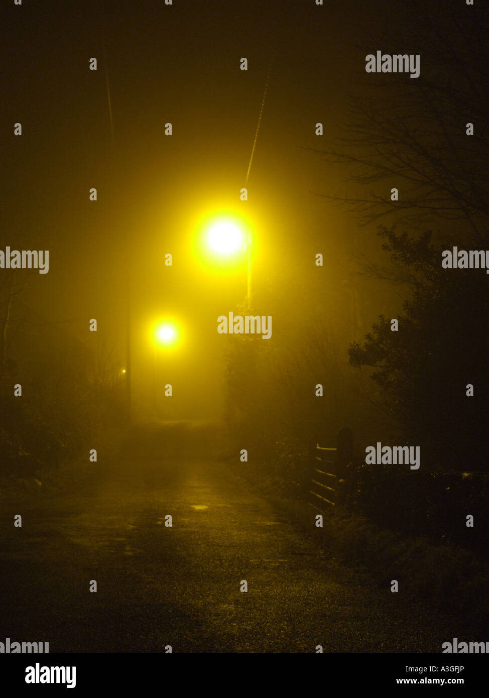empty street covered with fog at night Stock Photo - Alamy