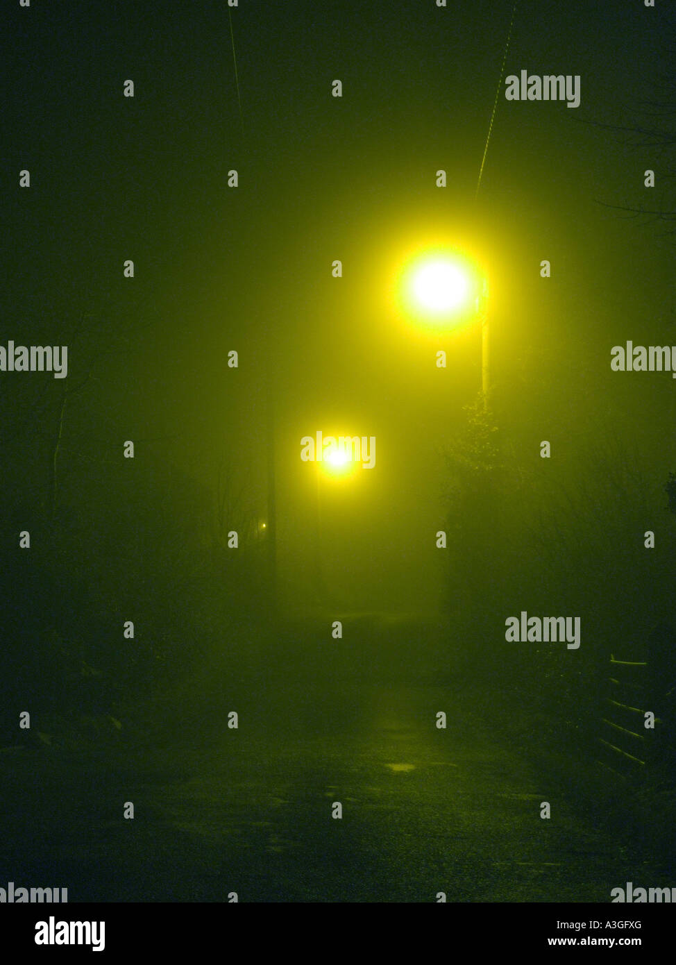 empty street covered with fog at night Stock Photo - Alamy