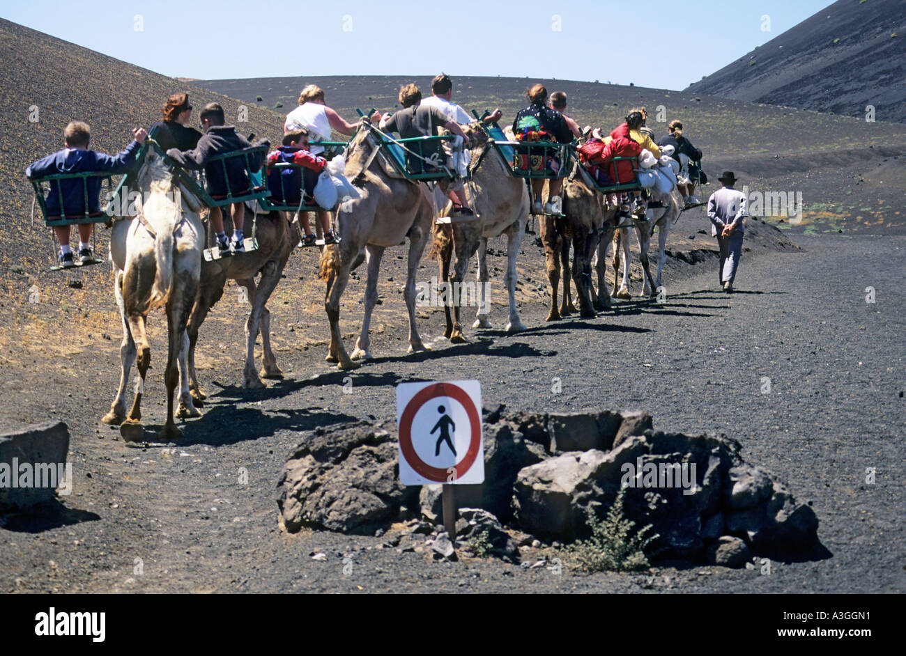 Tourists on camel ride setting off beyond a no walking sign near Timanfaya Lanzarote Canary Islands Spain Stock Photo