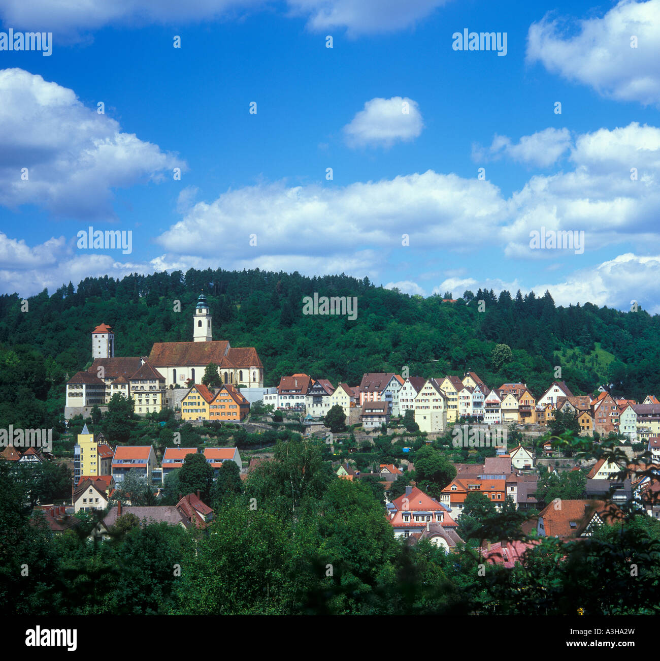 panoramic view of the old town of Horb am Neckar in the Black Forest Mountains in Germany Stock Photo