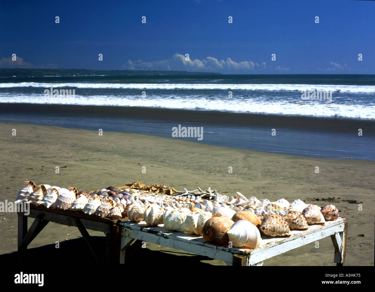 Curtain Of Sea Shells For Decoration Local Bali Stock Photo