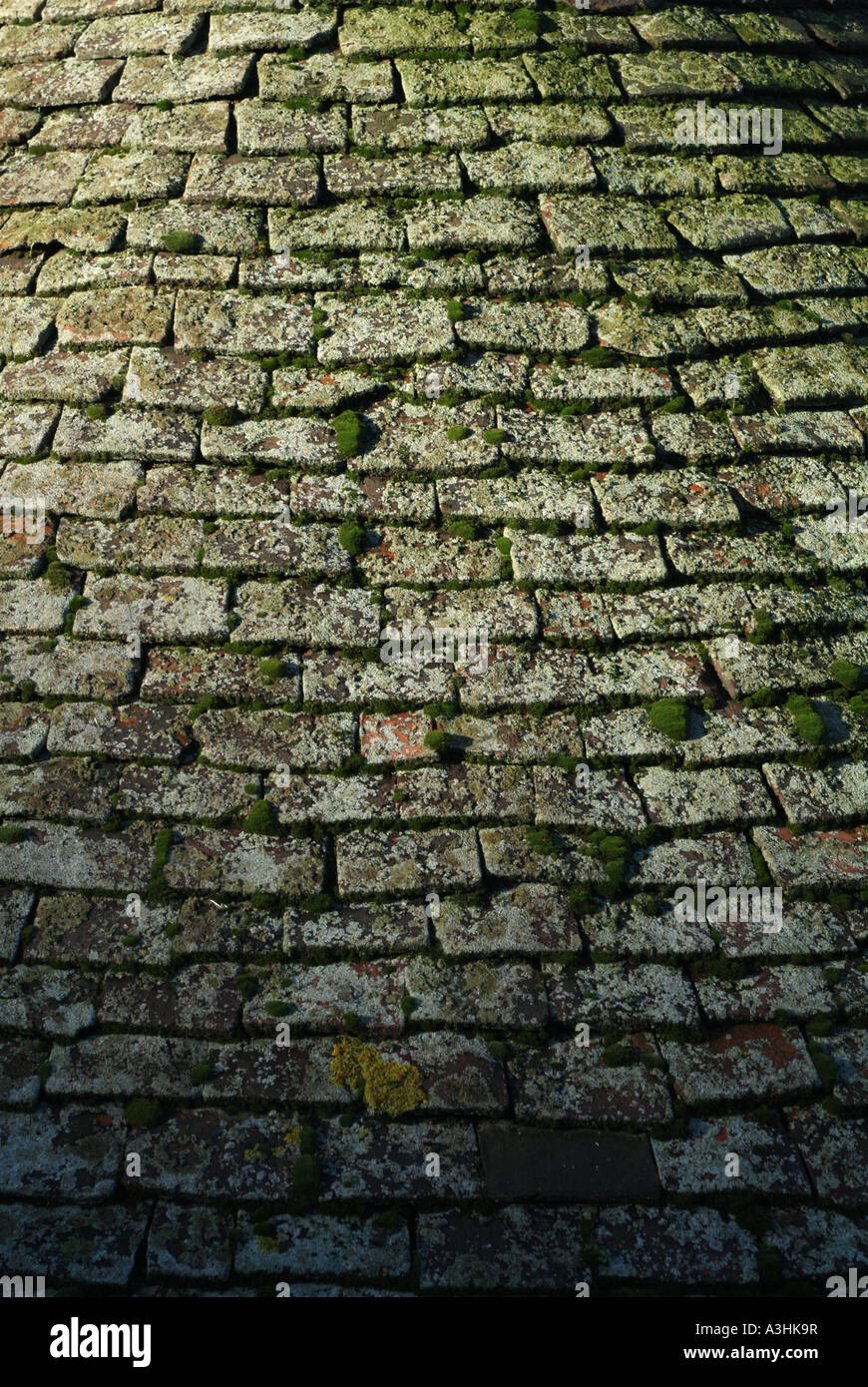 The roof tiles of Barker Tower, York Stock Photo Alamy