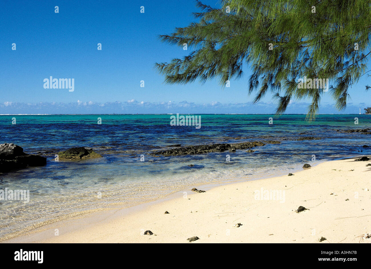 beach island of moorea society islands french polynesia france Stock Photo