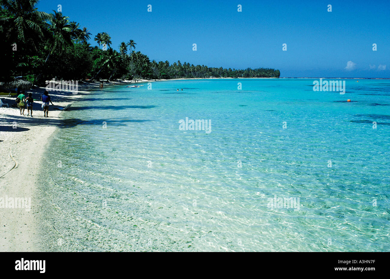 palmtrees at beach island of moorea society islands french polynesia france Stock Photo