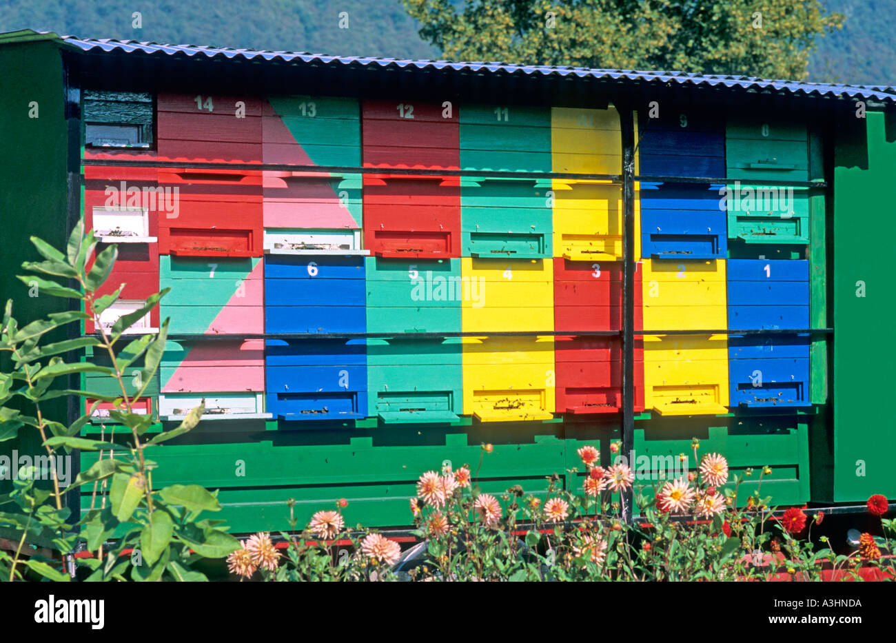 Пчелотехника пчеловодов. Пчелотехника. Пчелотехника пчеловодов. Разделочный стол для пчеловода. Стерлитамакский завод пчелоинвентаря медогонки.
