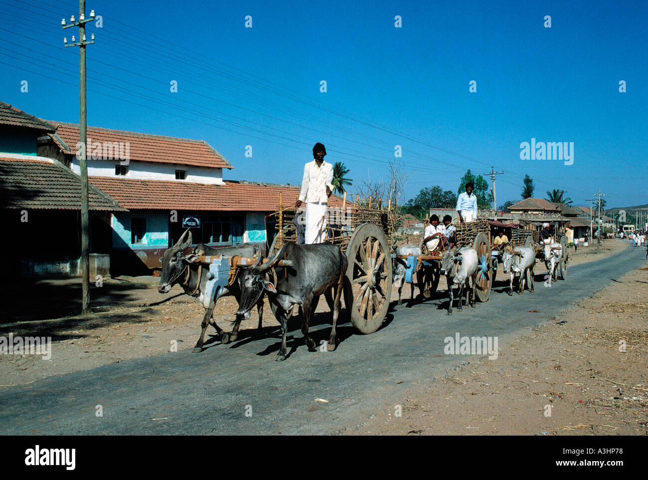oxen vehicles state of tamilnadu india Stock Photo