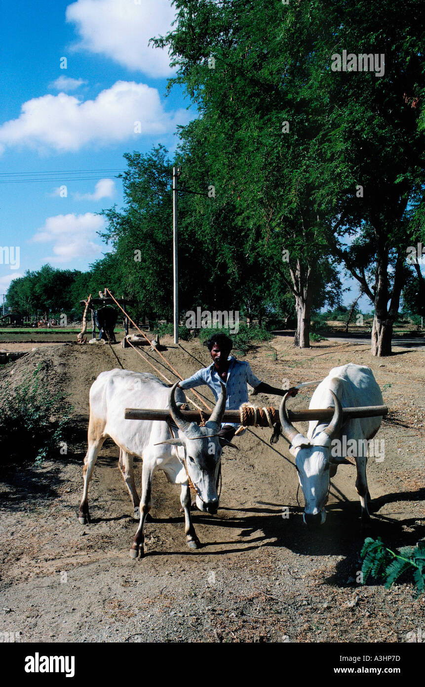 water irrigation system state of tamilnadu india Stock Photo Alamy