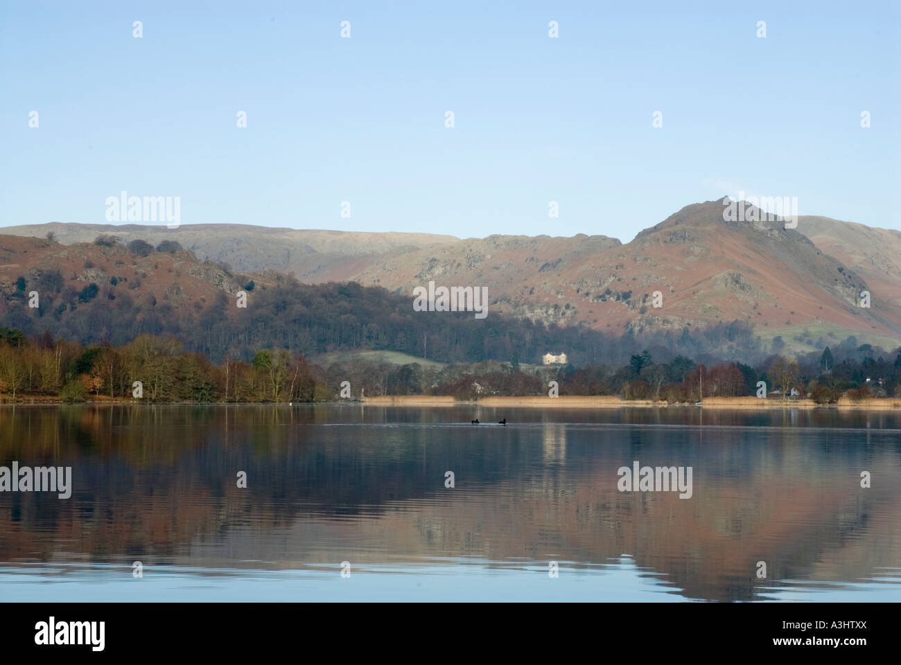 Grasmere Lake District UK Stock Photo