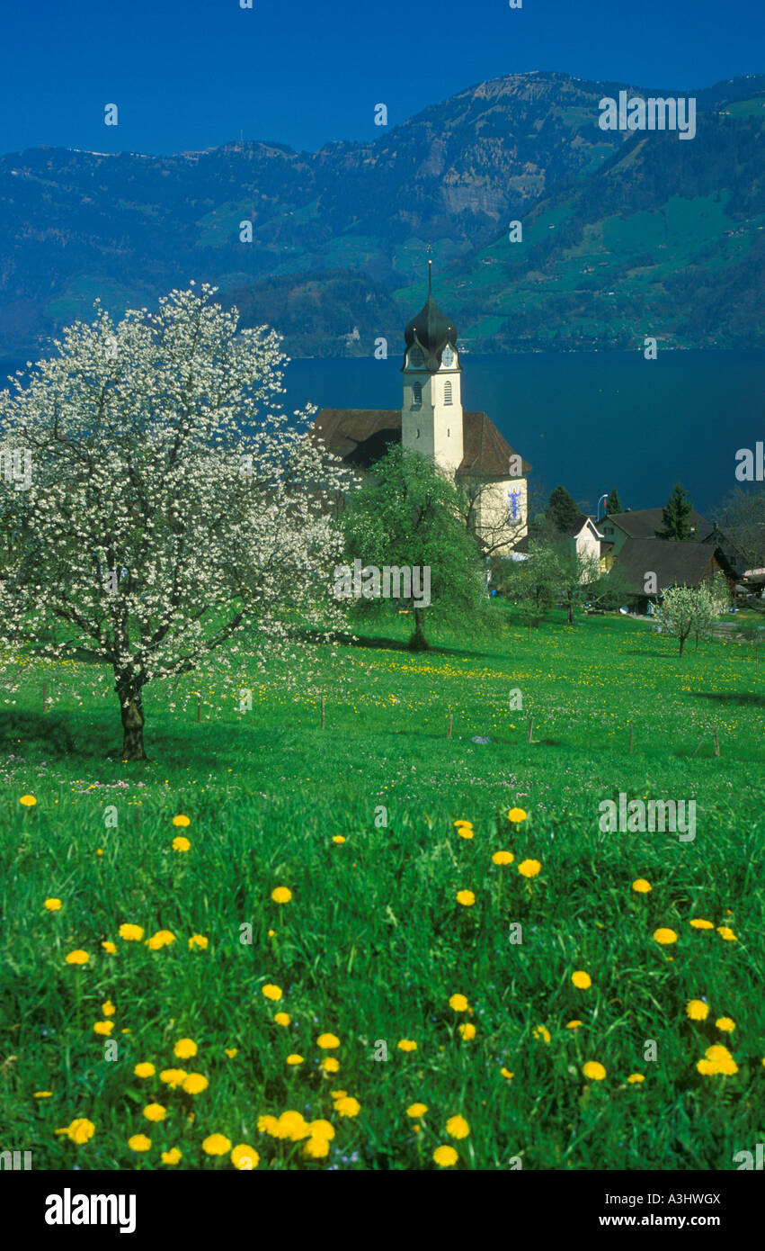 church of Beckenried at Lake Lucerne in Switzerland Stock Photo