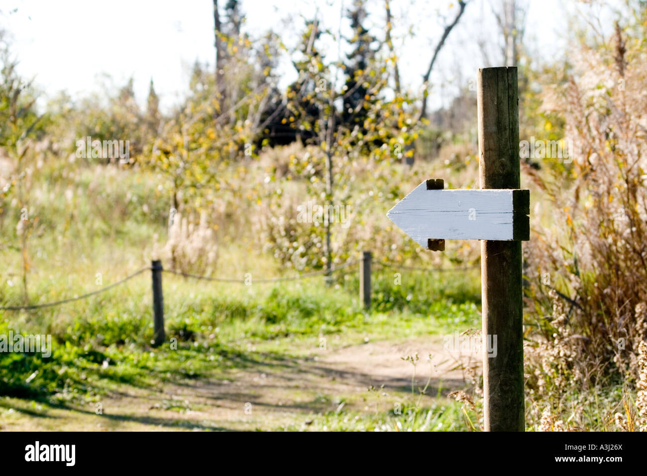ARROW SIGNAL SHOWING DIRECTION Stock Photo Alamy