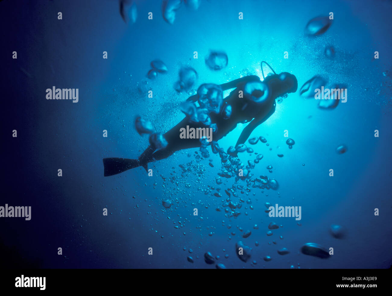 skin diver exploring Florida spring Stock Photo