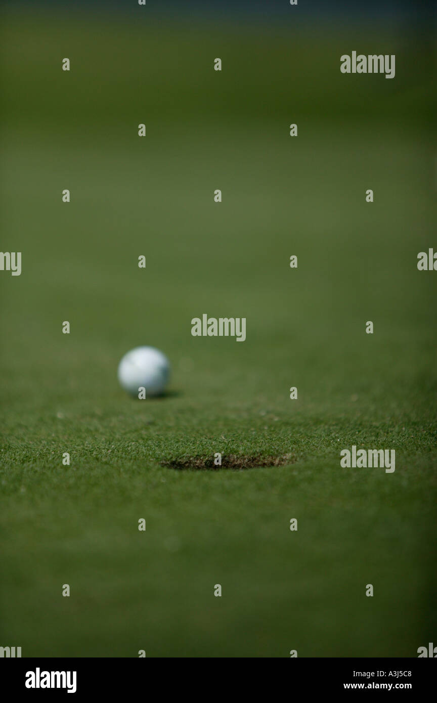 Golf putt and carpet hires stock photography and images Alamy