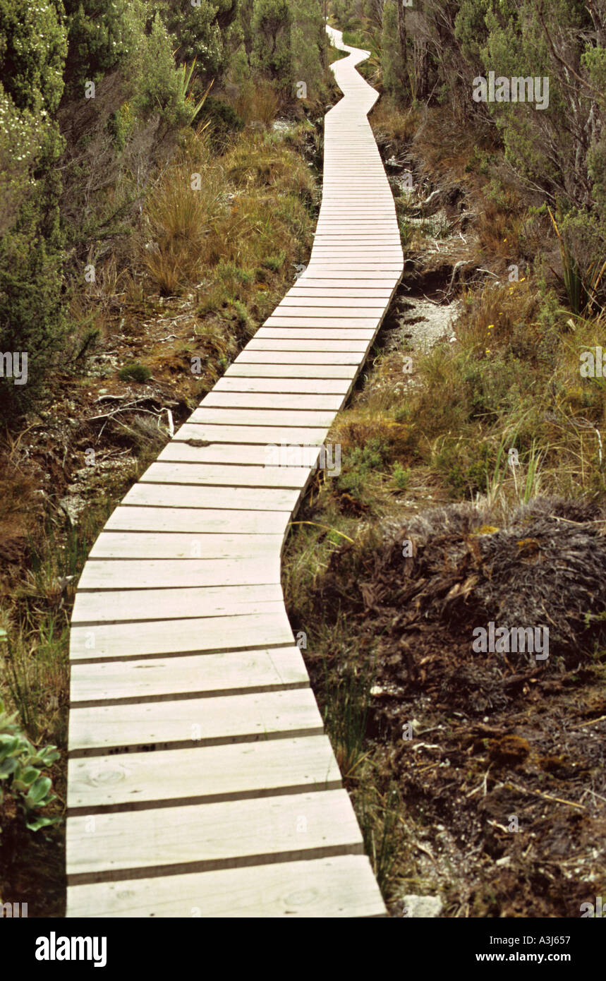 Path traversing the Kahurangi National Park in New Zealand Stock Photo