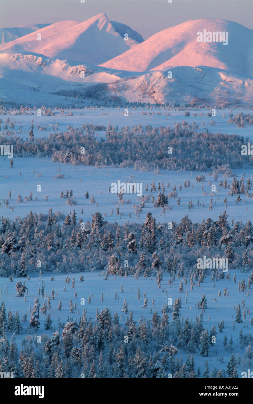 First light Stock Photo