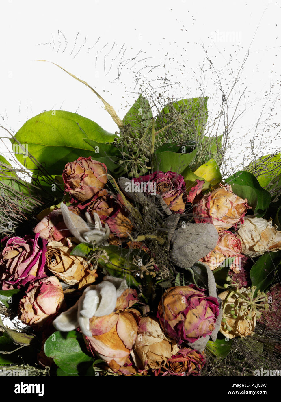 Dying bouquet Stock Photo