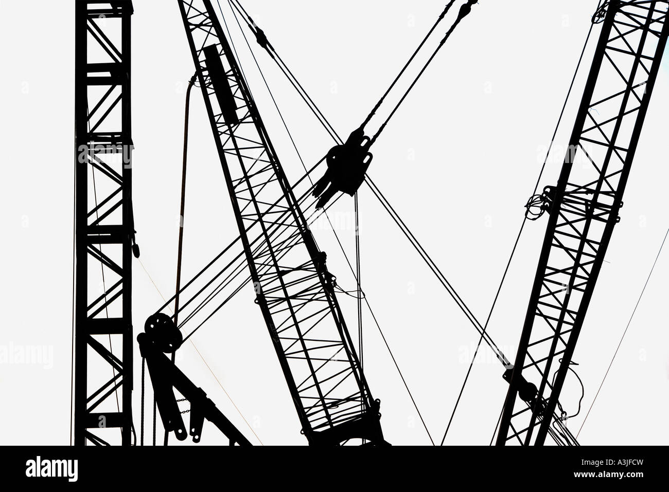 Cranes in silhouette Stock Photo