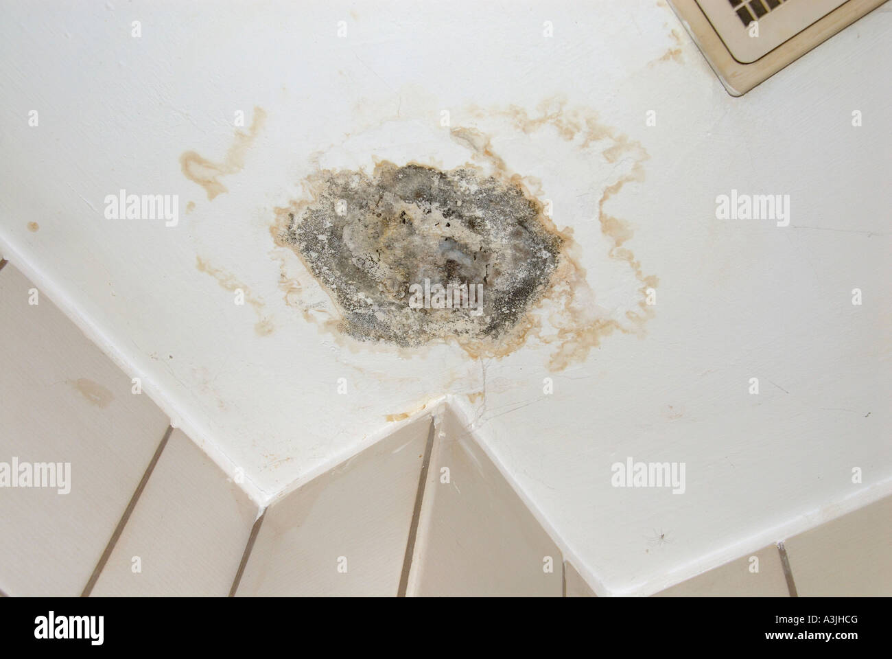 mold on the ceiling in a bathroom Stock Photo Alamy