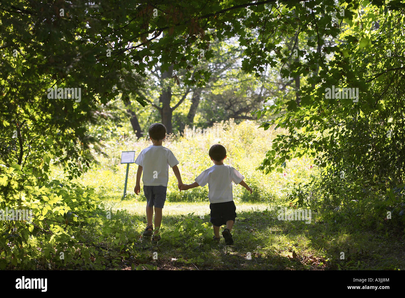 Two Brothers Walking Hand in Hand Stock Photo