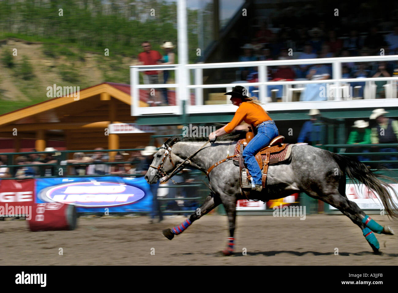 Rodeo Alberta Canada Barrel racing Stock Photo