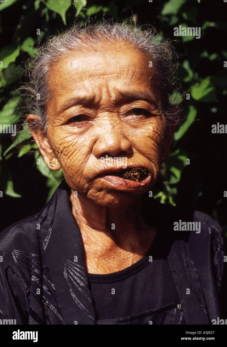 Chewing tobacco tobacco hires stock photography and images Alamy
