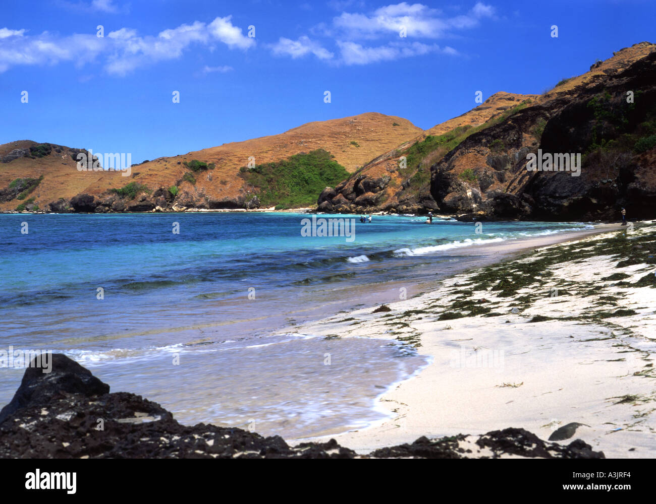 Idyllic Lombok Island Coasts: Serenity Along the Shorelines