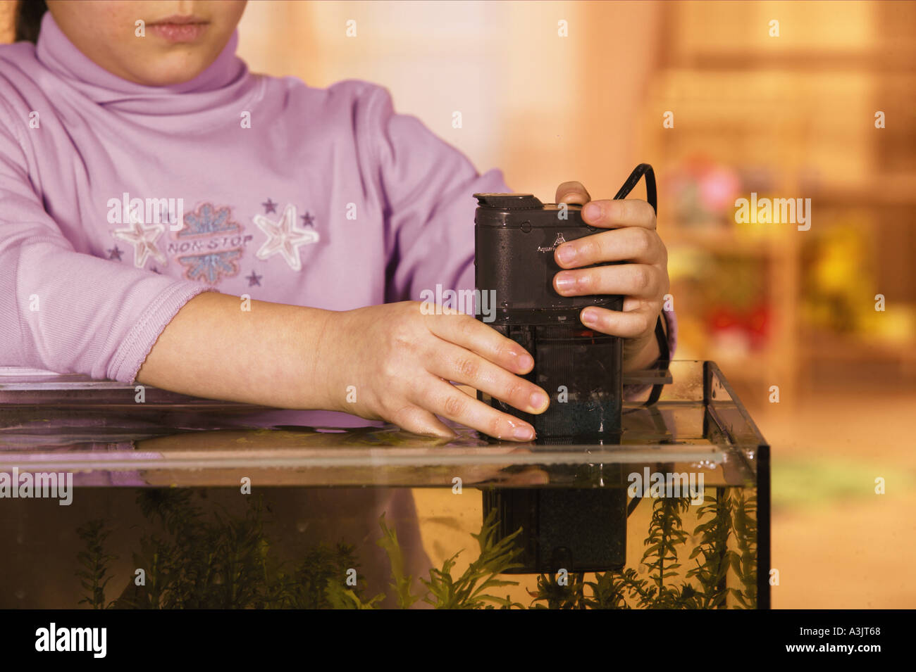installing a pump in a aquarium Stock Photo