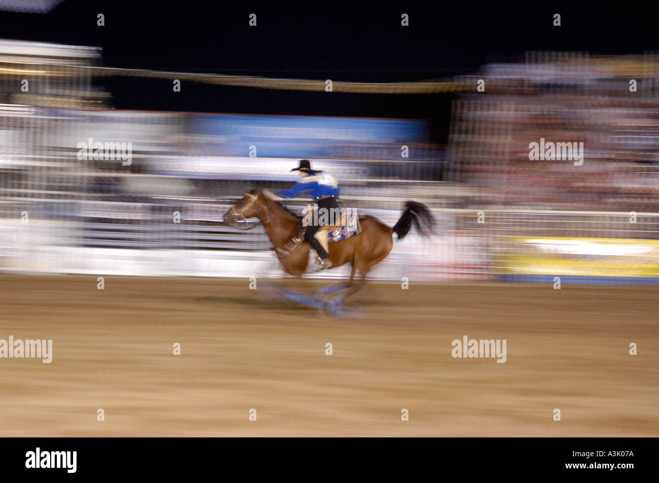 Cowboy riding a horse at a Rodeo in Vernal Utah USA Stock Photo Alamy