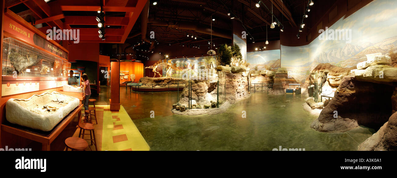 Utah Field House Natural History Museum Vernal USA Stock Photo Alamy