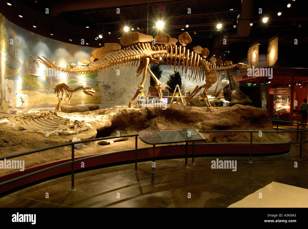 Utah Field House Natural History Museum Vernal USA Stock Photo Alamy