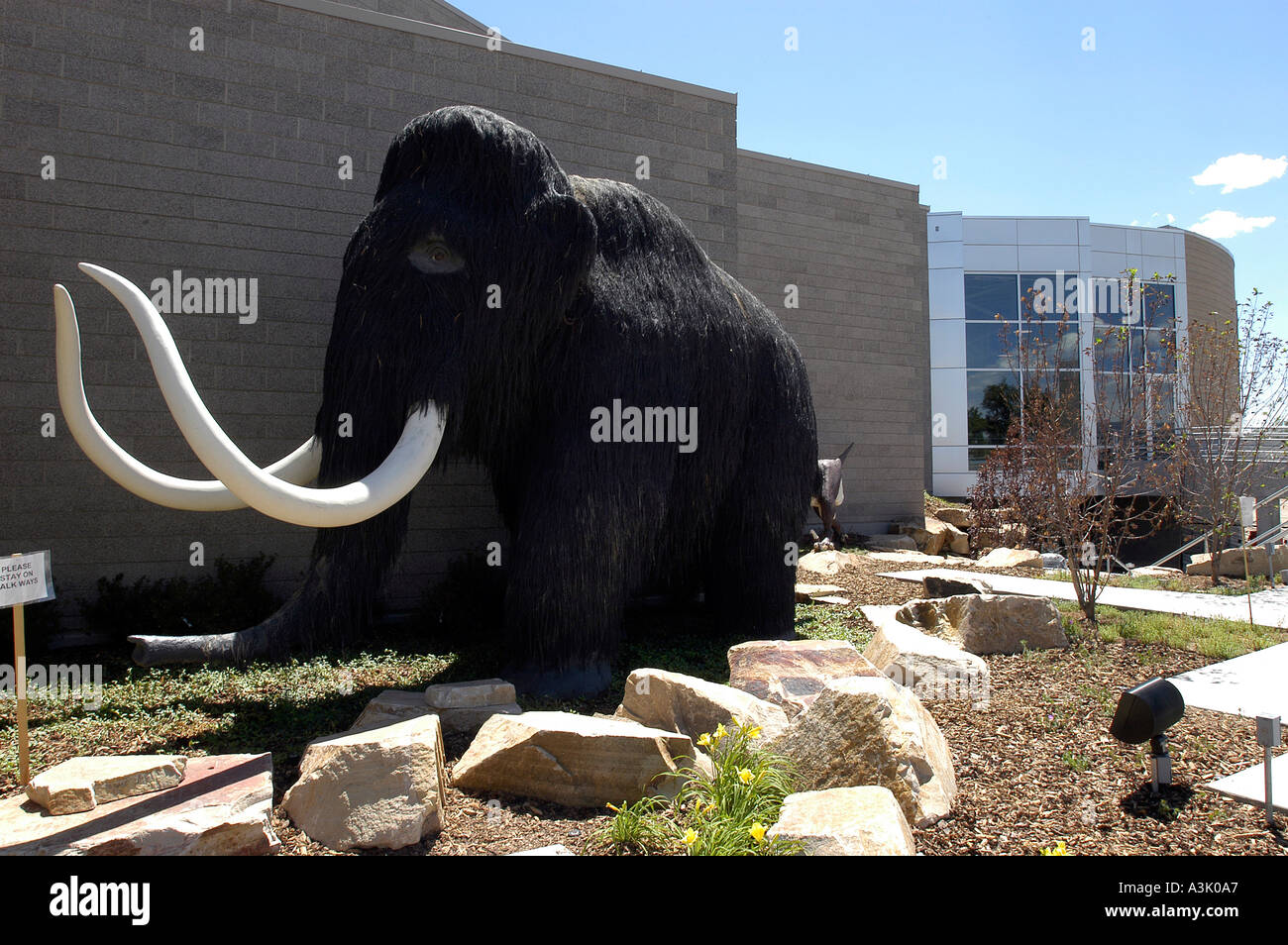 Utah Field House Natural History Museum Vernal USA Stock Photo Alamy