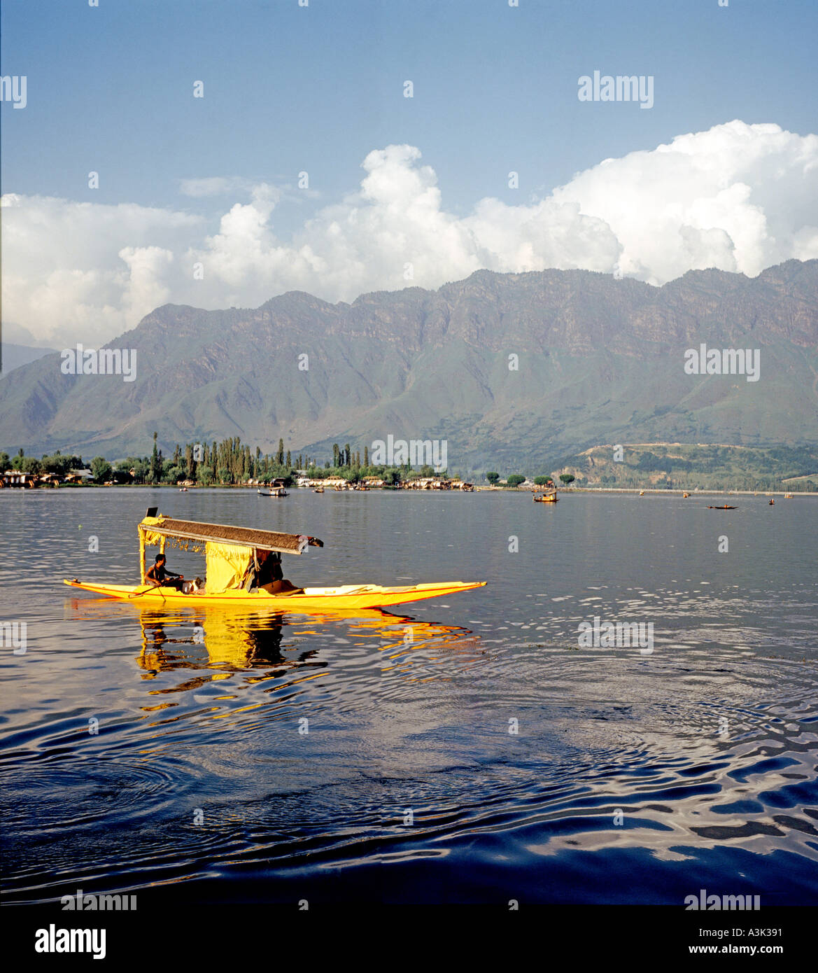 Shikara On Lake Dal In Kashmir Stock Photo - Alamy