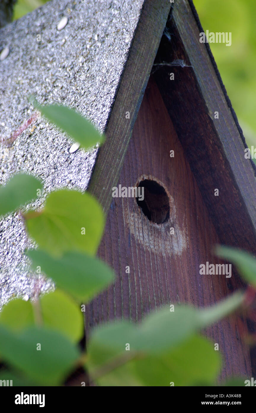 Aviary care hi-res stock photography and images - Alamy