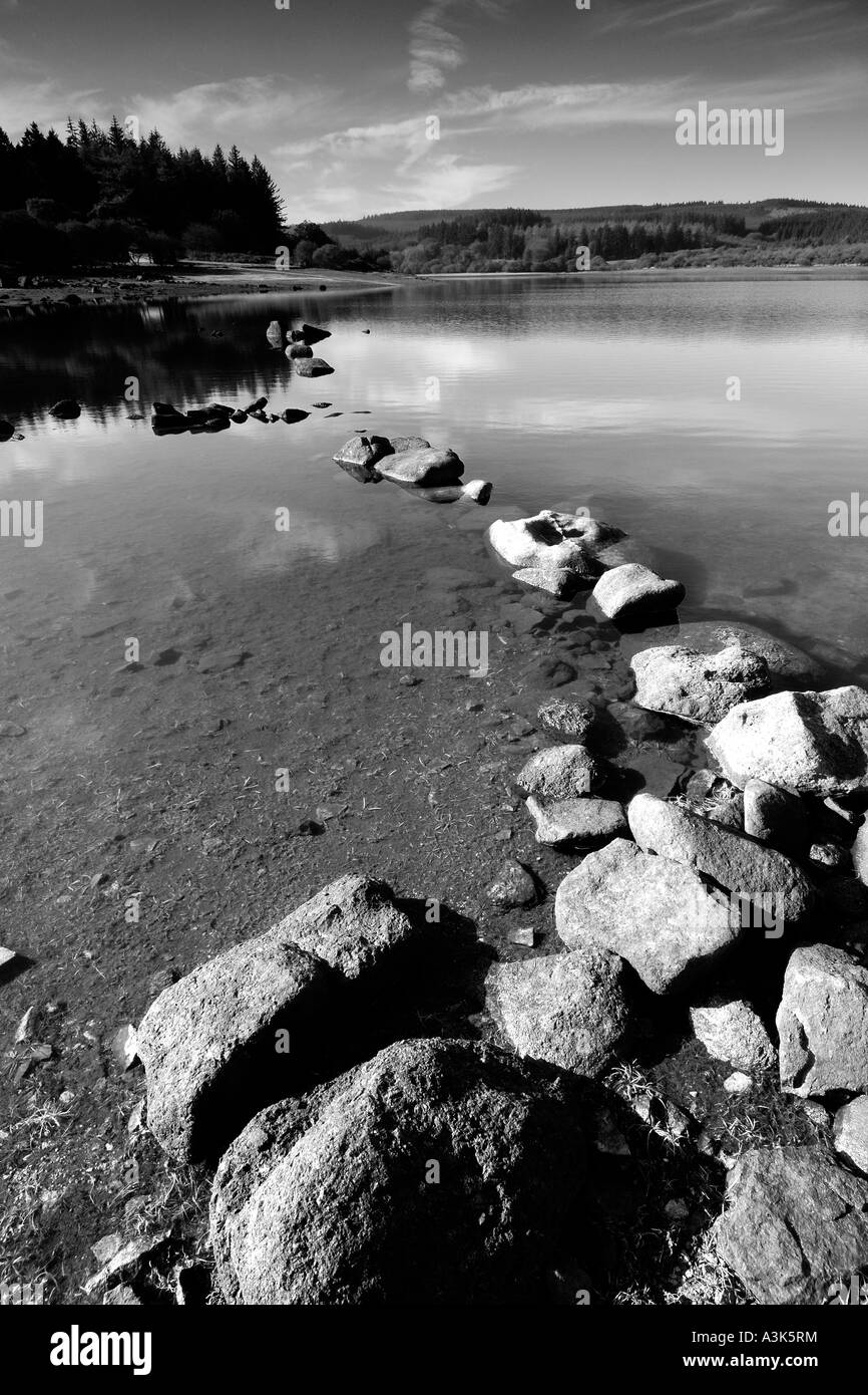 Mono morning at Fernworthy Reservoir in dartmoor National Park near Moretonhampstead Devon showing low water levels Stock Photo