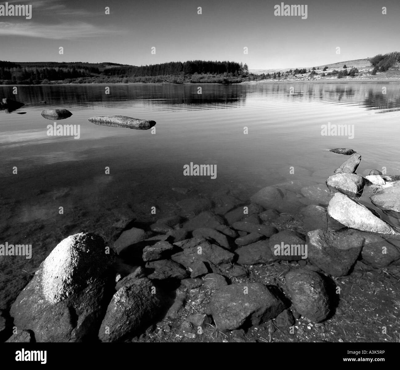 Mono morning at Fernworthy Reservoir in dartmoor National Park near Moretonhampstead Devon showing low water levels Stock Photo