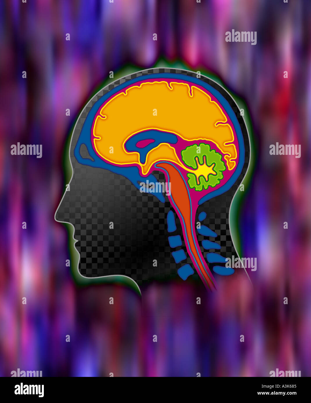 Streaming colors behind cut through illustration of brain and skull ...