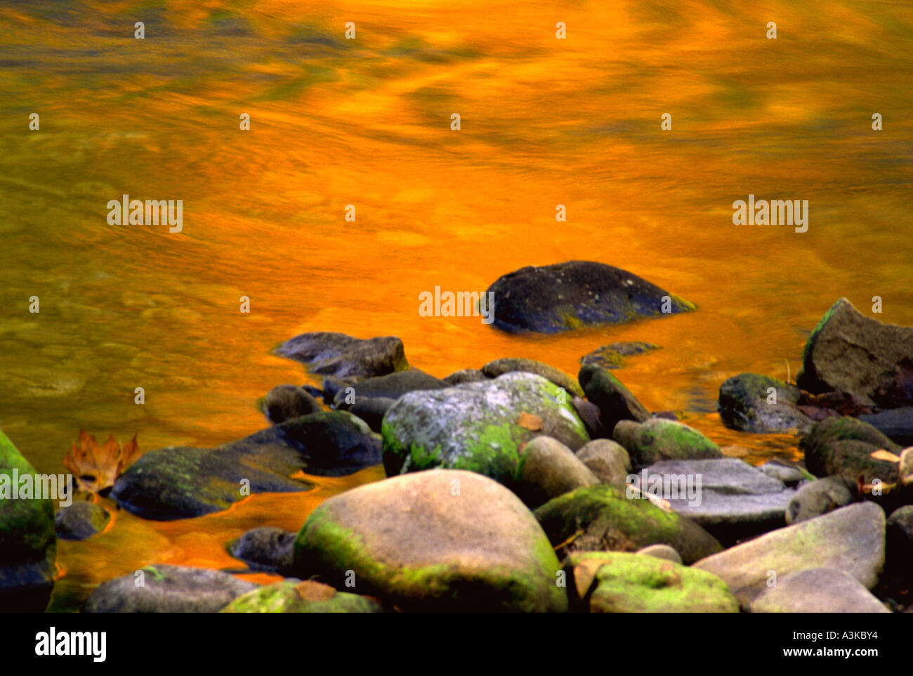 Fall Golden Water reflection Stock Photo