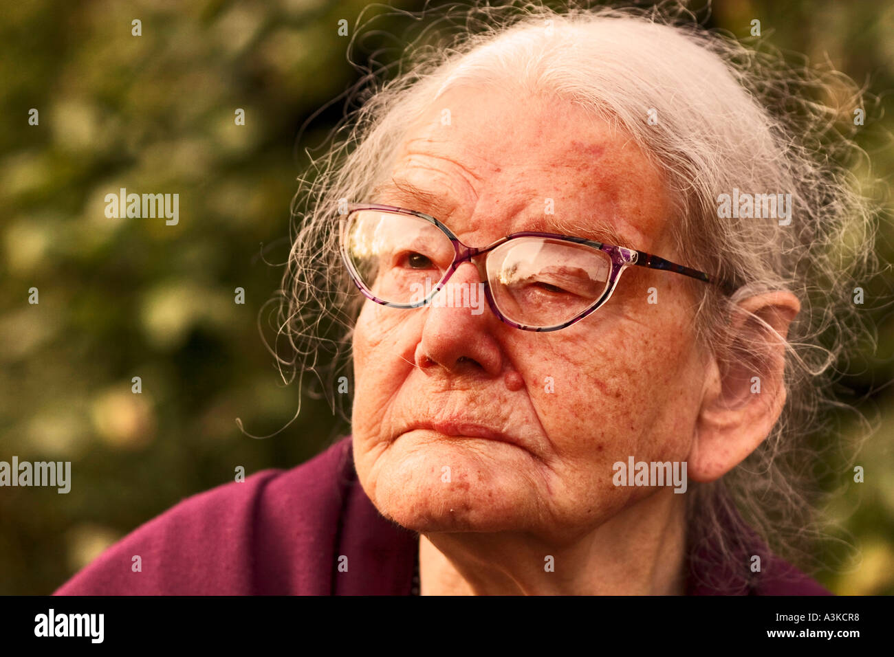 Portrait Of A 90 Year Aged Woman Stock Photo Alamy portrait-of-a-90-year-aged-woman-stock-photo-alamy