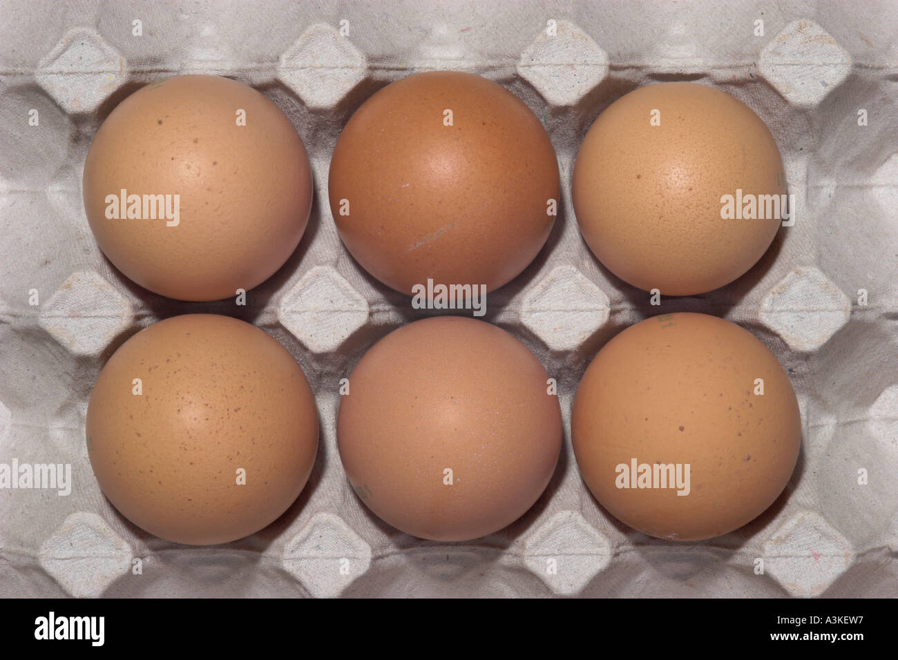 Six brown chicken eggs in their package Stock Photo