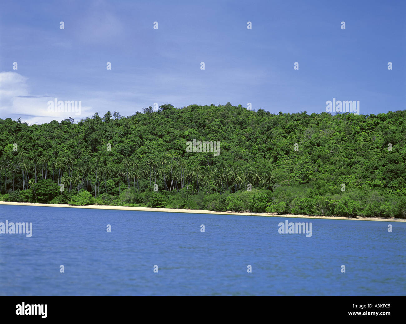 Warm tropical seas hi-res stock photography and images - Alamy