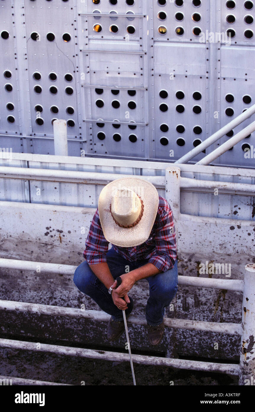 Caucasian cowboy sitting on railing at rodeo Stock Photo