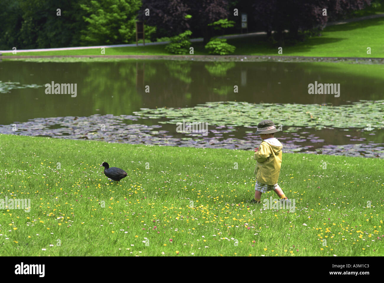 Child with a bird hires stock photography and images Alamy