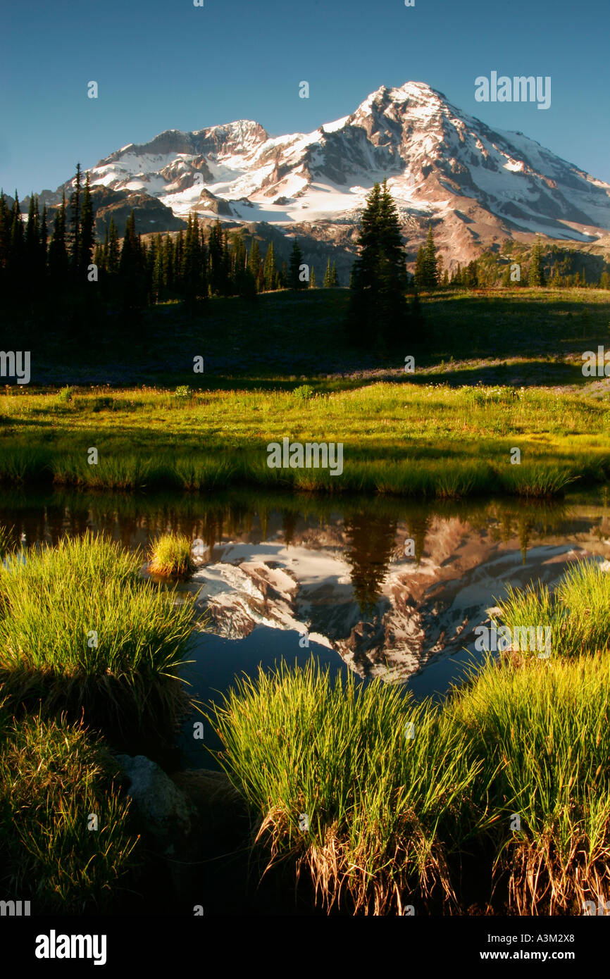 Mount Rainier reflected in a tarn in Indian Henry s Hunting Ground