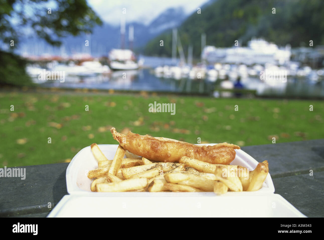 Fish and Chips Canada Stock Photo Alamy