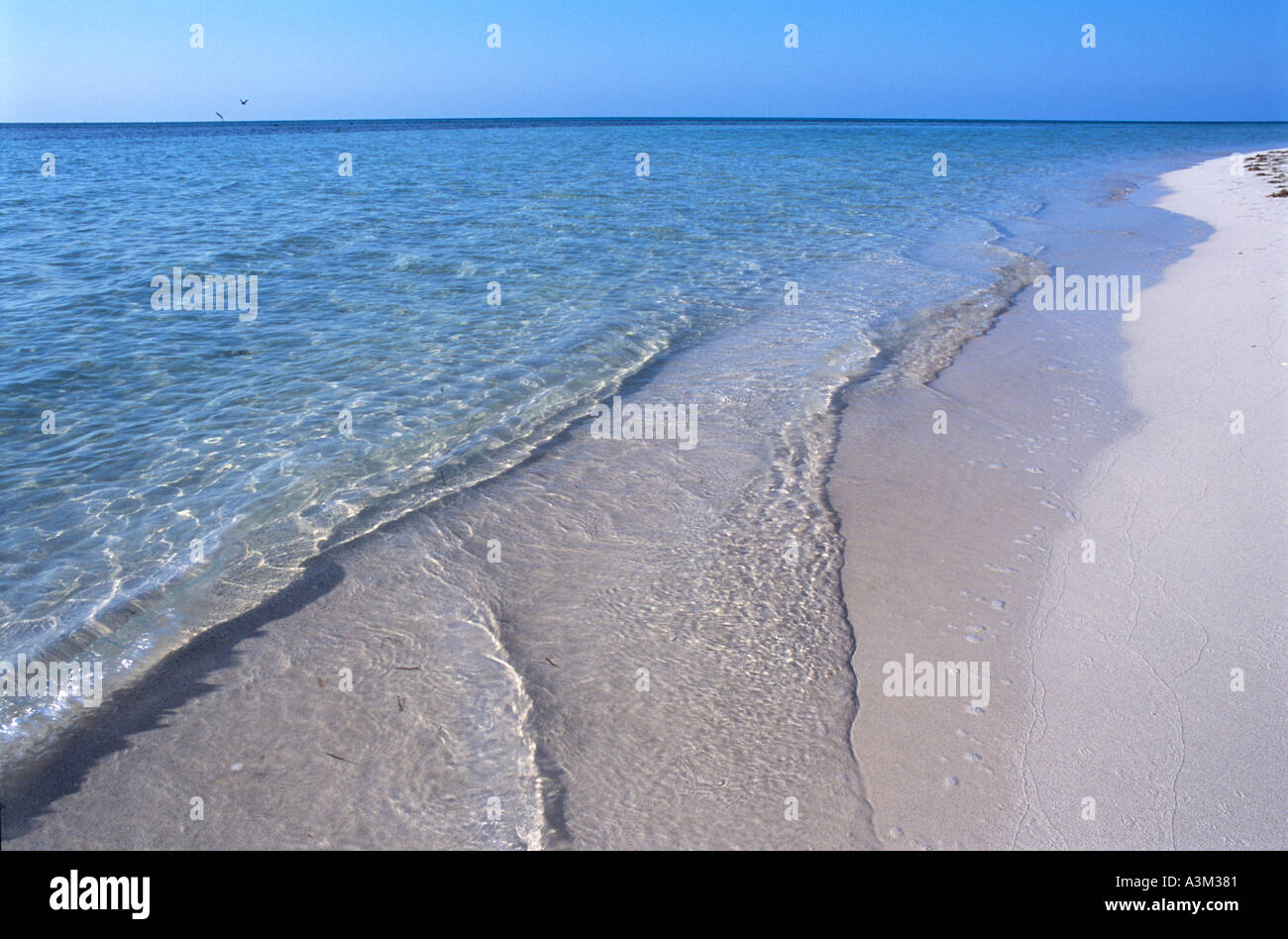 Crystal clear water along beach at Bahia Honda State Park Bahia Honda Key Florida Stock Photo