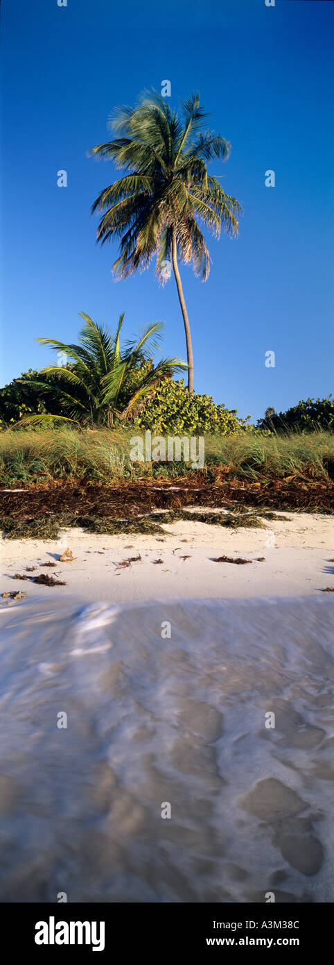 Remote beach in the Florida Keys Bahia Honda State Park Florida Stock Photo