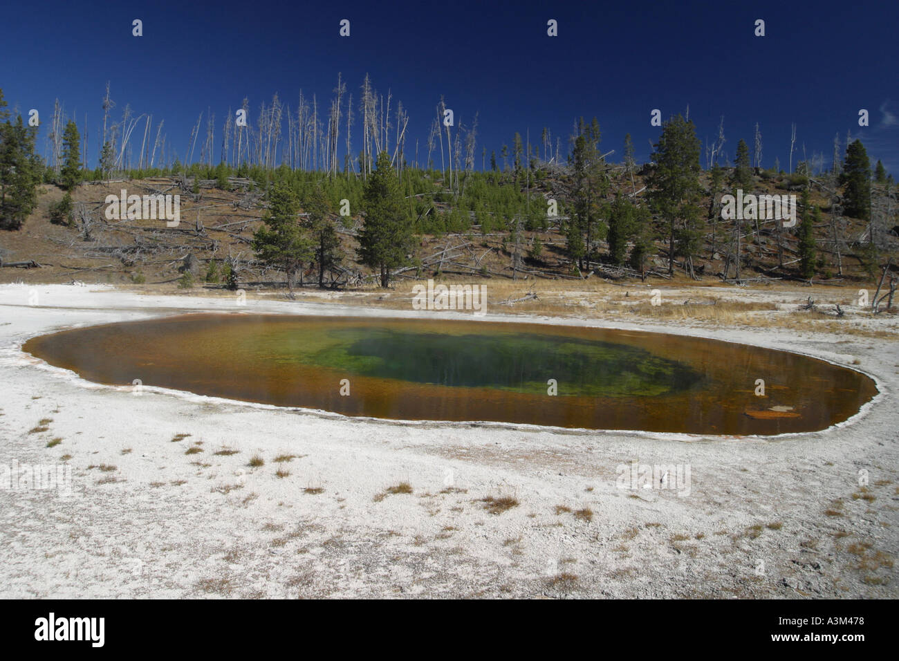 Beauty Pool Upper Geyser Basin Yellowstone Nat Pk USA Stock Photo
