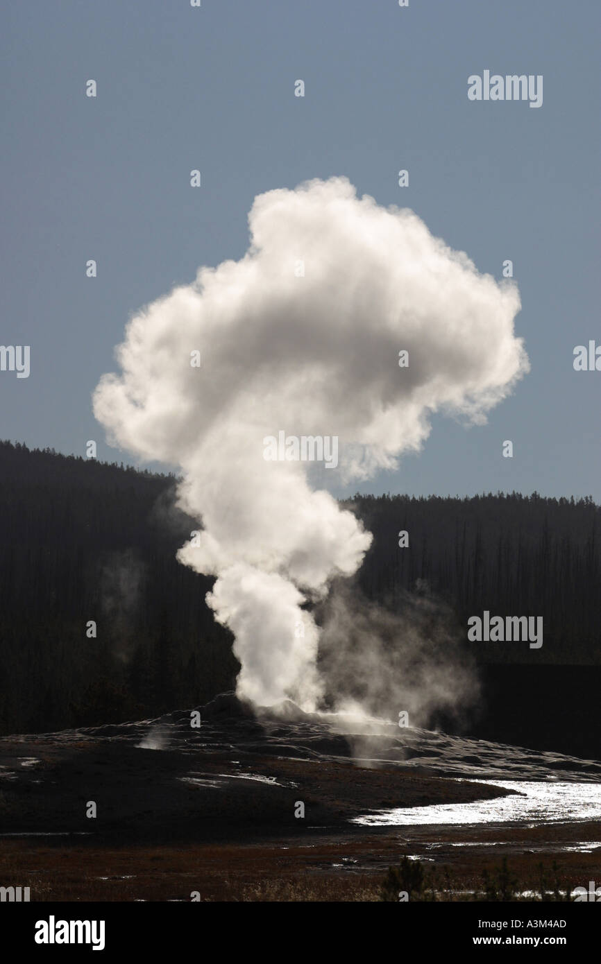 Stream rising from Old Faithful Geyser with hot water flowing from ...