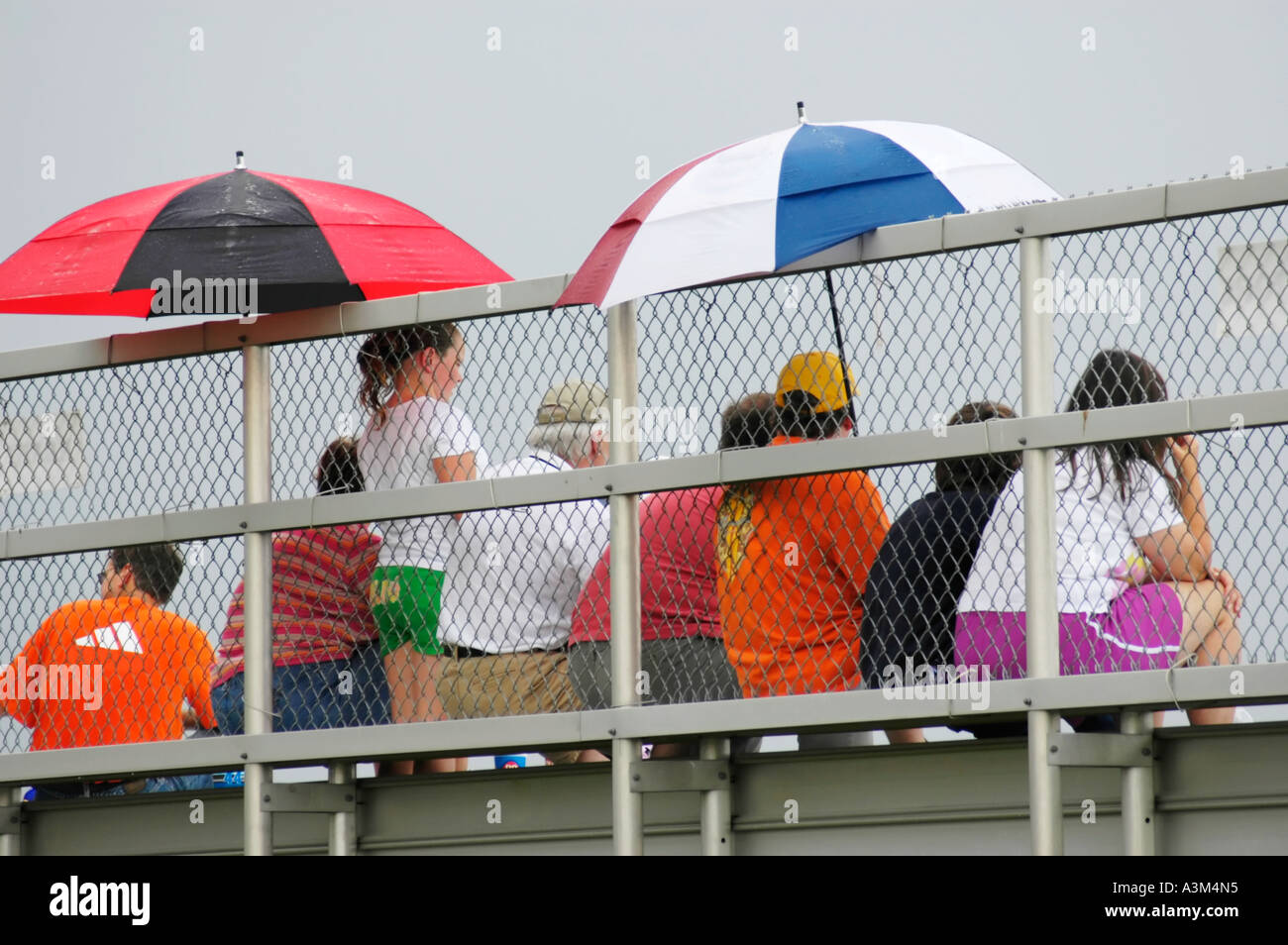 Loyal sports fans Stock Photo