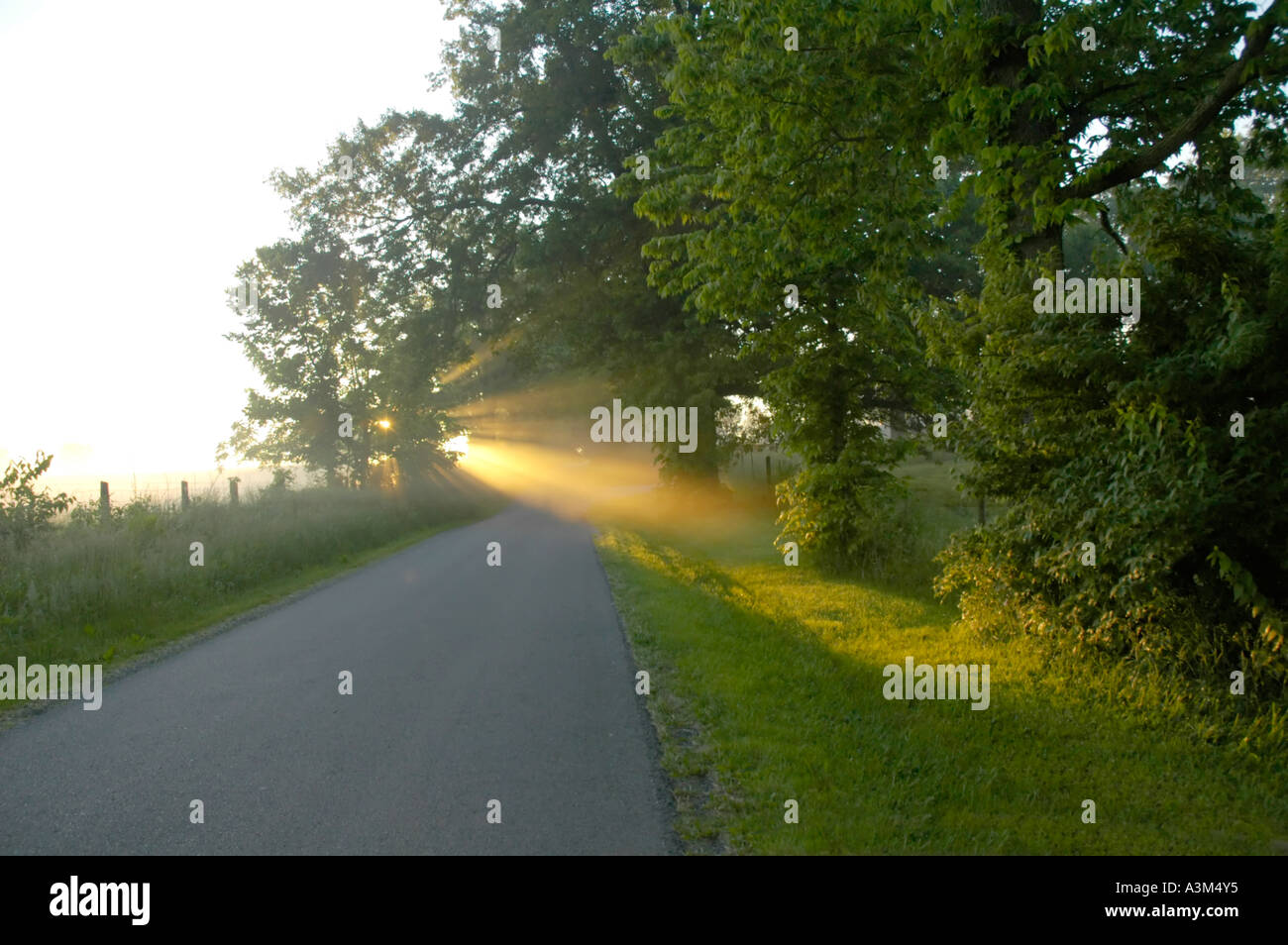 Morning sunlight Stock Photo